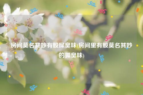 房间莫名其妙有股屎臭味(房间里有股莫名其妙的狐臭味)