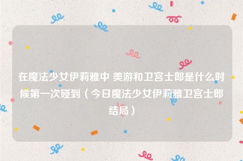 在魔法少女伊莉雅中 美游和卫宫士郎是什么时候第一次碰到(今日魔法少女伊莉雅卫宫士郎结局)