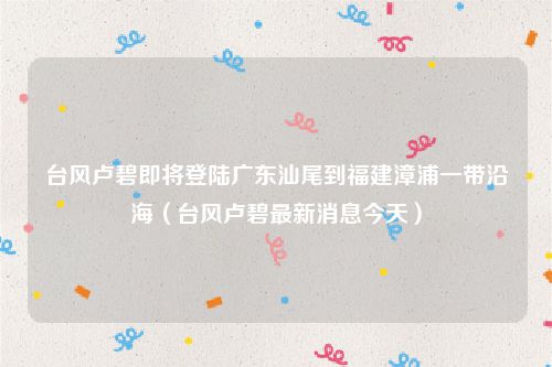 台风卢碧即将登陆广东汕尾到福建漳浦一带沿海(台风卢碧最新消息今天)