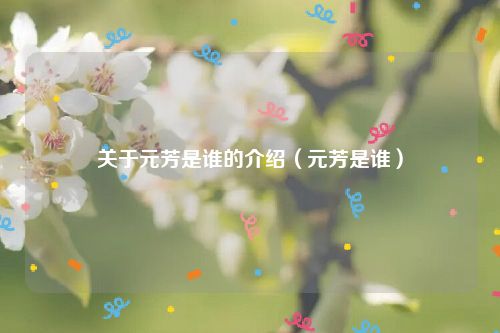 关于元芳是谁的介绍(元芳是谁)