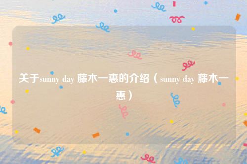 关于sunny day 藤木一惠的介绍(sunny day 藤木一惠)