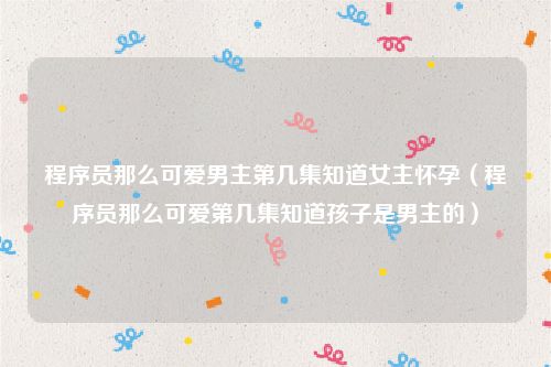 程序员那么可爱男主第几集知道女主怀孕（程序员那么可爱第几集知道孩子是男主的）