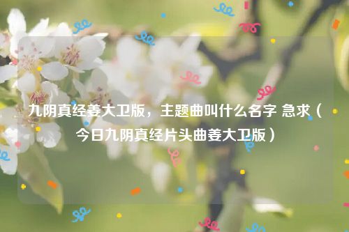 九阴真经姜大卫版,主题曲叫什么名字 急求(今日九阴真经片头曲姜大卫版)
