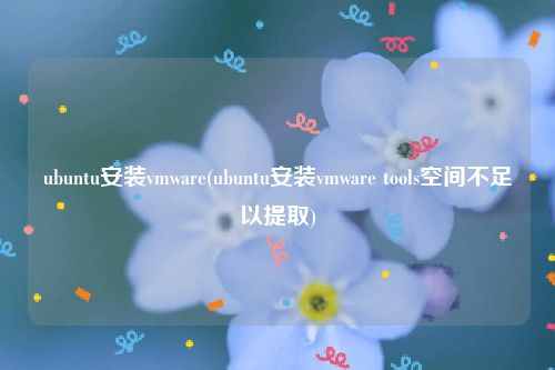 ubuntu安装vmware(ubuntu安装vmware tools空间不足以提取)