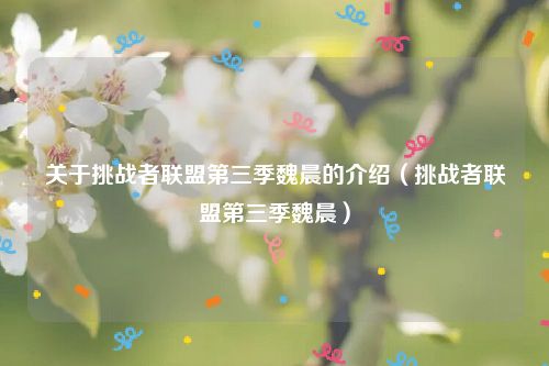 关于挑战者联盟第三季魏晨的介绍(挑战者联盟第三季魏晨)