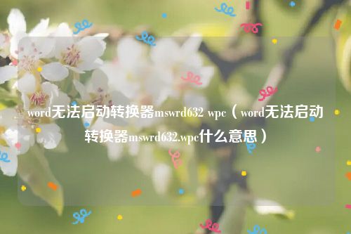 word无法启动转换器mswrd632 wpc(word无法启动转换器mswrd632.wpc什么意思)