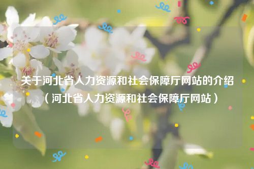 关于河北省人力资源和社会保障厅网站的介绍（河北省人力资源和社会保障厅网站）
