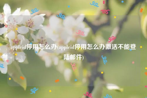 appleid停用怎么办(appleid停用怎么办激活不能登陆邮件)