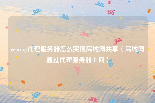 ccproxy代理服务器怎么实现局域网共享（局域网通过代理服务器上网）