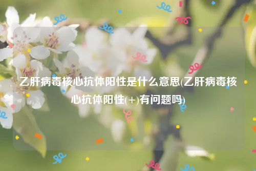 乙肝病毒核心抗体阳性是什么意思(乙肝病毒核心抗体阳性(+)有问题吗)