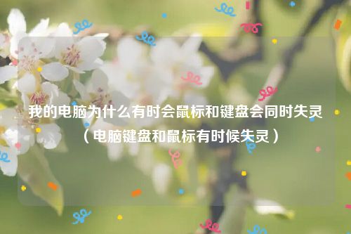我的电脑为什么有时会鼠标和键盘会同时失灵(电脑键盘和鼠标有时候失灵)