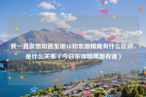 我一直很想知道东珈AB和东珈精鹰有什么区别，是什么关系（今日东珈精鹰都有谁）