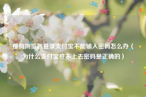 搜狗浏览器登录支付宝不能输入密码怎么办（为什么支付宝登不上去密码是正确的）