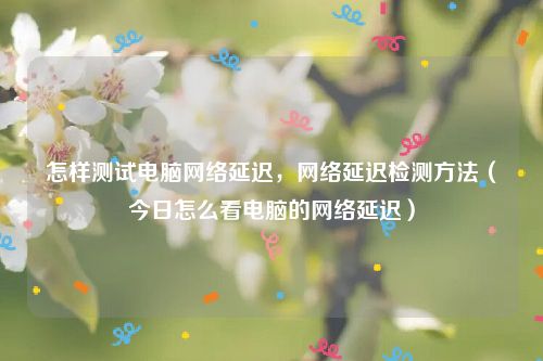 怎样测试电脑网络延迟,网络延迟检测方法(今日怎么看电脑的网络延迟)