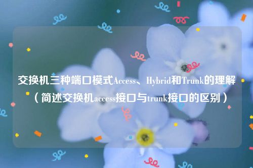 交换机三种端口模式Access、Hybrid和Trunk的理解(简述交换机access接口与trunk接口的区别)