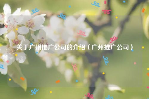关于广州推广公司的介绍(广州推广公司)