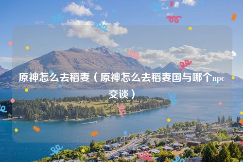 原神怎么去稻妻(原神怎么去稻妻国与哪个npc交谈)