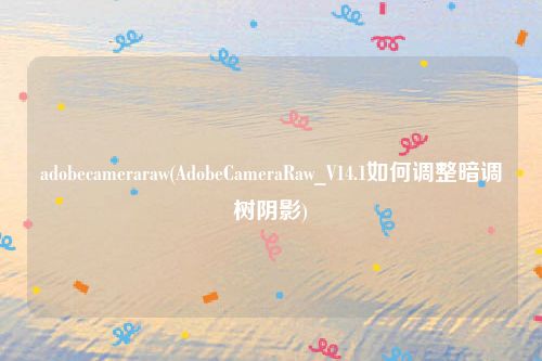 adobecameraraw(AdobeCameraRaw_V14.1如何调整暗调树阴影)