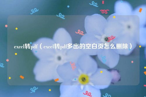 excel转pdf(excel转pdf多出的空白页怎么删除)