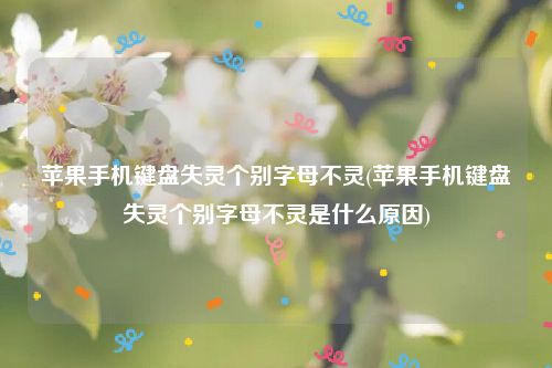苹果手机键盘失灵个别字母不灵(苹果手机键盘失灵个别字母不灵是什么原因)