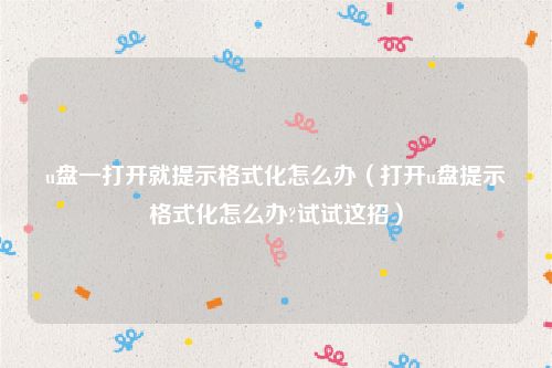 u盘一打开就提示格式化怎么办(打开u盘提示格式化怎么办?试试这招)