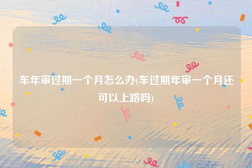 车年审过期一个月怎么办(车过期年审一个月还可以上路吗)