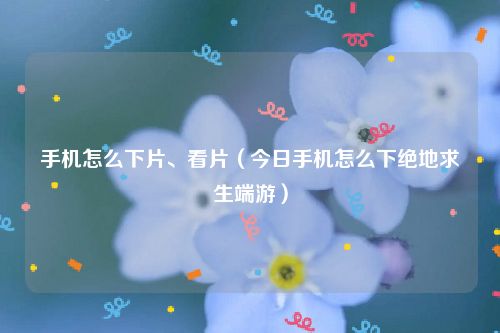 手机怎么下片、看片(今日手机怎么下绝地求生端游)