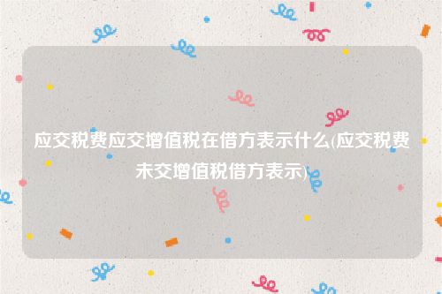 应交税费应交增值税在借方表示什么(应交税费未交增值税借方表示)