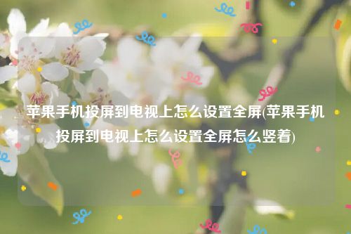 苹果手机投屏到电视上怎么设置全屏(苹果手机投屏到电视上怎么设置全屏怎么竖着)