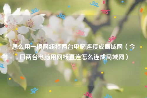 怎么用一根网线将两台电脑连接成局域网（今日两台电脑用网线直连怎么连成局域网）
