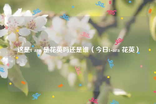 这是t ara 是花英吗还是谁(今日t-ara 花英)
