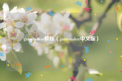 gamemaker教程(gamemaker中文版)