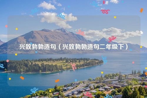 兴致勃勃造句（兴致勃勃造句二年级下）