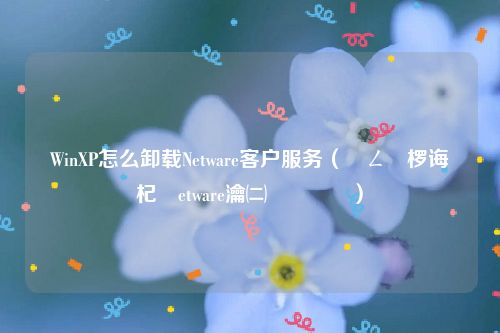 WinXP怎么卸载Netware客户服务(鎮ㄥ繀椤诲嵏杞絥etware瀹㈡埛鏈嶅姟)