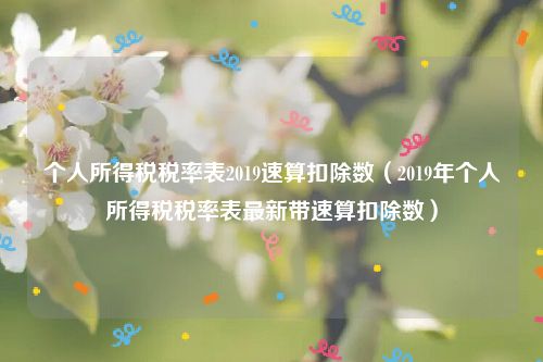 个人所得税税率表2019速算扣除数(2019年个人所得税税率表最新带速算扣除数)