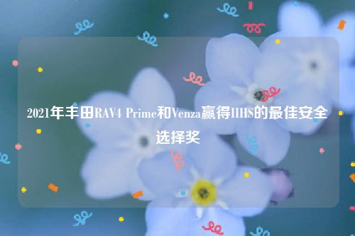 2021年丰田RAV4 Prime和Venza赢得IIHS的最佳安全选择奖