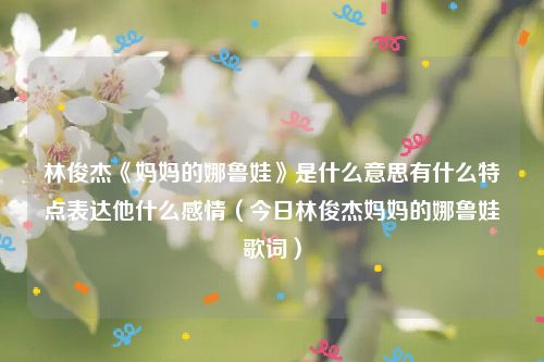 林俊杰《妈妈的娜鲁娃》是什么意思有什么特点表达他什么感情(今日林俊杰妈妈的娜鲁娃歌词)