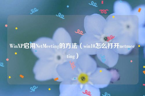 WinXP启用NetMeeting的方法（win10怎么打开netmeeting）