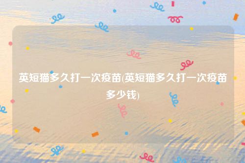 英短猫多久打一次疫苗(英短猫多久打一次疫苗多少钱)