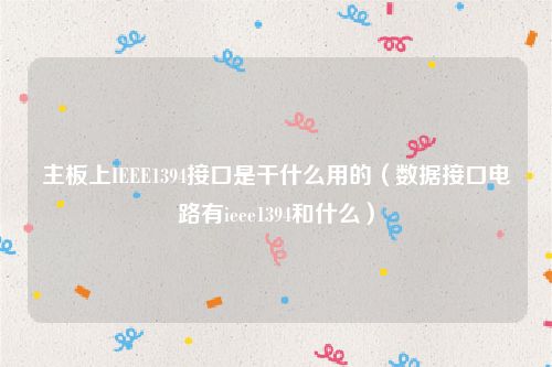 主板上IEEE1394接口是干什么用的(数据接口电路有ieee1394和什么)