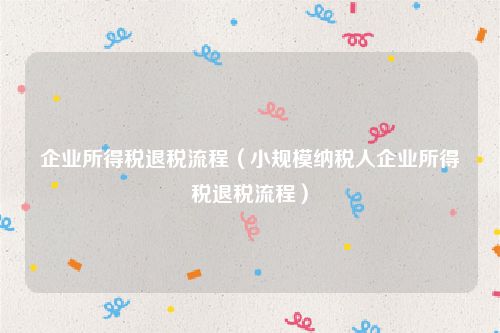 企业所得税退税流程(小规模纳税人企业所得税退税流程)