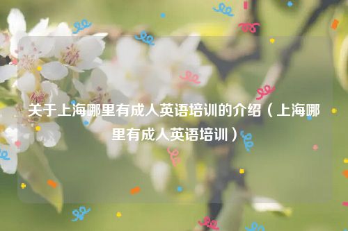 关于上海哪里有成人英语培训的介绍(上海哪里有成人英语培训)