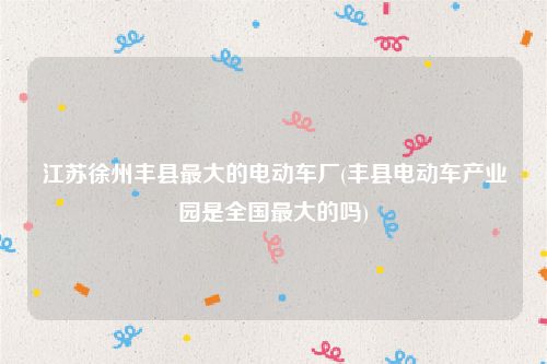 江苏徐州丰县最大的电动车厂(丰县电动车产业园是全国最大的吗)