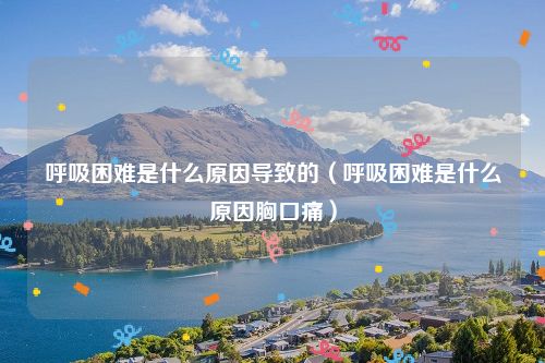 呼吸困难是什么原因导致的(呼吸困难是什么原因胸口痛)