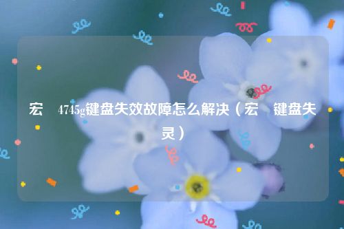 宏碁4745g键盘失效故障怎么解决(宏碁键盘失灵)
