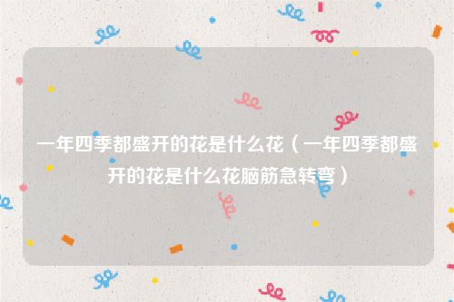 一年四季都盛开的花是什么花(一年四季都盛开的花是什么花脑筋急转弯)