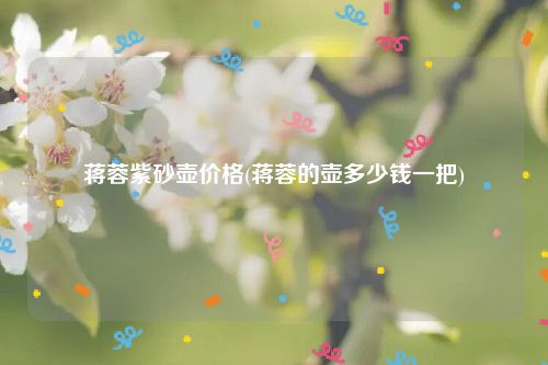蒋蓉紫砂壶价格(蒋蓉的壶多少钱一把)