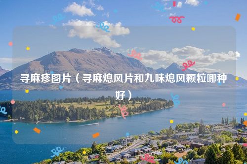 寻麻疹图片(寻麻熄风片和九味熄风颗粒哪种好)