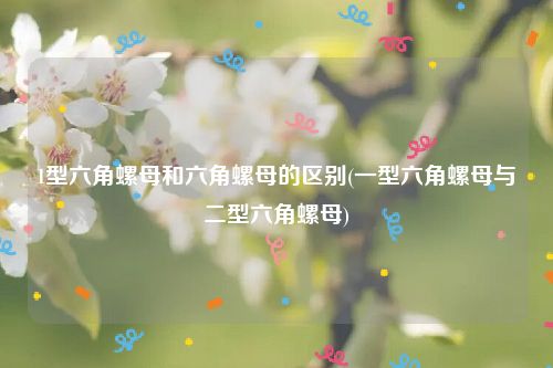 1型六角螺母和六角螺母的区别(一型六角螺母与二型六角螺母)
