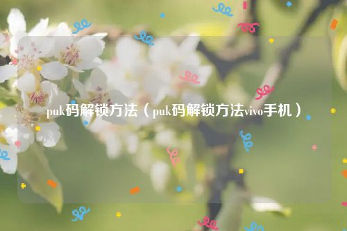 puk码解锁方法(puk码解锁方法vivo手机)